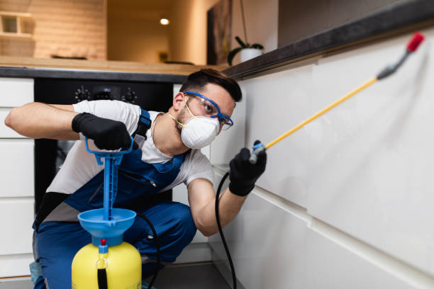 Best Emergency Pest Control  in Clifton Knolls Mill Creek, NY