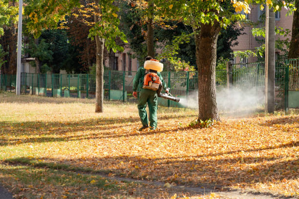 Best Affordable Pest Control Services  in Clifton Knolls Mill Creek, NY