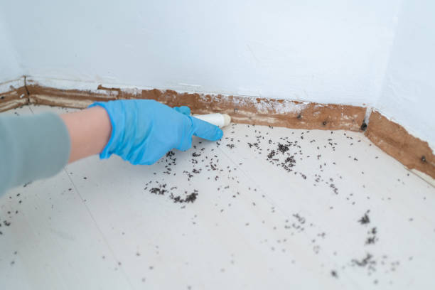 Pest Control Cost in Clifton Knolls Mill Creek, NY